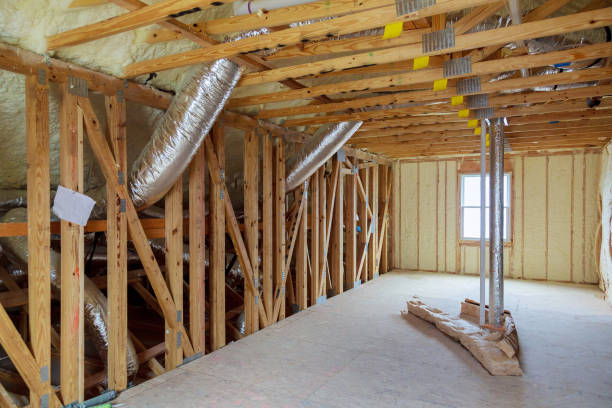 Best Insulation Removal  in Hampton, AR